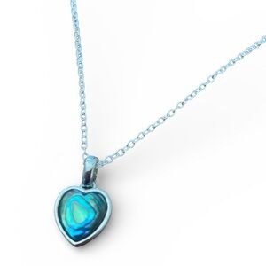 Gorgeous dainty heart abalone pendant necklace